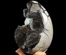 Bargain, Septarian Dragon Egg Geode - Crystal Filled #73782-4